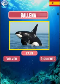 Aprender los nombres de los animales |  10 idiomas Screen Shot 7