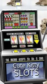 3D Cute Kitty Slots - Free Screen Shot 2