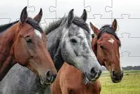 الخيول بانوراما الألغاز ألعاب مجانية 🧩🐎️🧩🐴🧩 Screen Shot 5