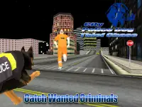 City Police Dog Thief Chase 3D Screen Shot 5