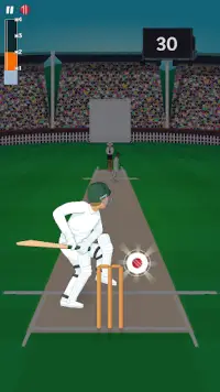 Mighty Cricket Screen Shot 12