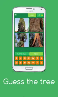 Guess the tree - Tree species identification quiz Screen Shot 3
