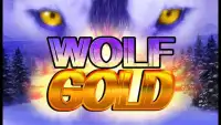 Wolf Gold Slots FREE Screen Shot 0