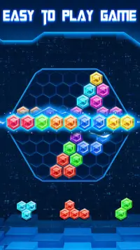 Block Puzzle Classic Hexagon Screen Shot 2