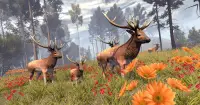 Wild Deer: Bogenschießen Jagdspiele 2019 Screen Shot 4