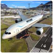 Airplane Flight Fly 3D