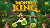 jungle king monkey Screen Shot 0
