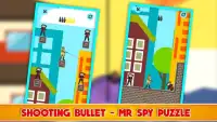 Shooting Bullet - Mr Spy Puzzle Screen Shot 1