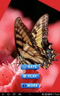 Butterfly puzzle game Screen Shot 0