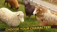 Sheep Racing Adventure Game 3D Screen Shot 11