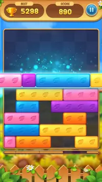 Dropdom - Sliding Block Puzzle Screen Shot 1
