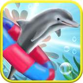 Dolphin Aquarium: Fun Sports 3D Challenge