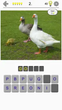 Bird World - Famous Birds Quiz Screen Shot 0