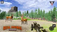 Real Animal Hunter - New Deer Hunting Games Screen Shot 3