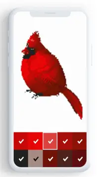 Birds Color By Number, pixel bird coloring Screen Shot 5