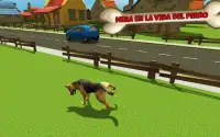 Runaway Street Dog Simulator 3D - Juego de vida de Screen Shot 1