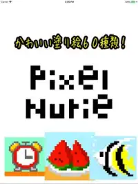 pixel Nurie　ピクセル・ドット絵の塗り絵 Screen Shot 5