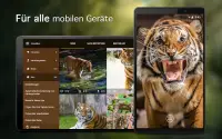 Hintergrundbilder mit Tiger 4K Screen Shot 5