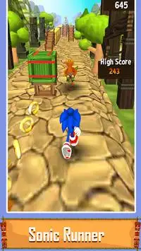 Temple Sonic Run 3D Screen Shot 0