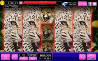 Angry Cheetah Slot Wild Pokies Screen Shot 11