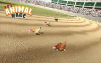 Hewan Pet Race Screen Shot 0