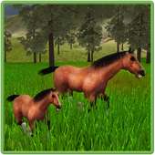 Ultimate Horses of Forest