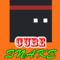 Giau Cube Snake
