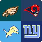 Guess the Top NFL Team