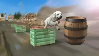 Собаки-трюки и симуляторы 3D - Crazy Dog Games Screen Shot 2
