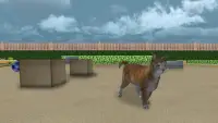 Cat Simulator 2017 Screen Shot 1
