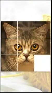 Kucing Teka-Teki Permainan Screen Shot 2
