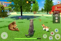 Cat Family Simulator: Life of Wild Cat Screen Shot 10