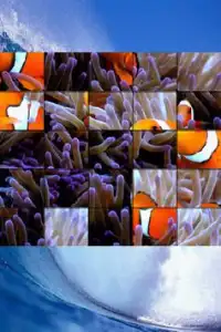 Ocean Life Puzzle Screen Shot 0