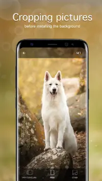 Dog Wallpapers & Puppy 4K Screen Shot 3