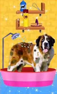 ست برنارد رعاية الحيوانات الأليفة - ألعاب الكلب Screen Shot 1