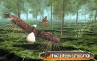 Bird Chase Mania: Eagle Hunt Endless Flying Screen Shot 2