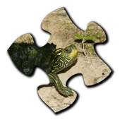 Turtle Jigsaw Puzzles