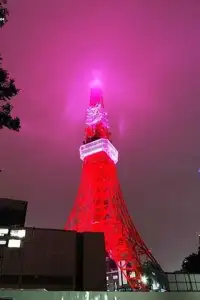 東京タワーのパズル Screen Shot 0