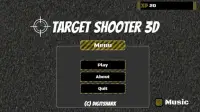 Target Shooter 3D Screen Shot 0