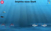 Dolphins races Sharks Screen Shot 1
