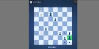 Chess Mania! - Satranç Çılgınlığı! Screen Shot 1