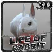 Life of Rabbit