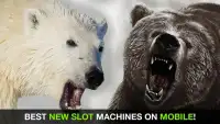 Bear Slots - Free Slot Casino Screen Shot 1
