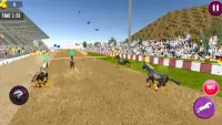 Angry Horse Racing 3D Simulator Screen Shot 0