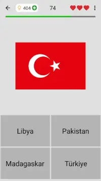 Dünyadaki tüm ülkelerin bayrakları Coğrafi yarışma Screen Shot 0