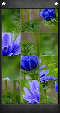Beautiful Flowers Jigsaw Puzzles Screen Shot 3