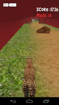 Animal Run :Cheetah 3D Screen Shot 4