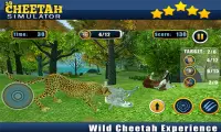 Angry Cheetah Wild Attack Sim Screen Shot 1