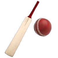 Sports : Cricket Batting Demo