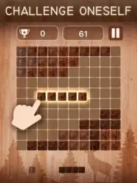 Block Puzzle Zen Screen Shot 5